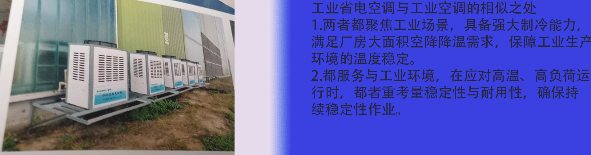 陈月.gif